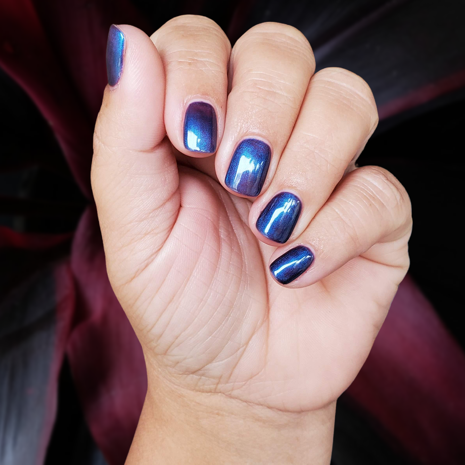 Enchanted Knight - Photo provided by Independent Distributor -Naomi Denu